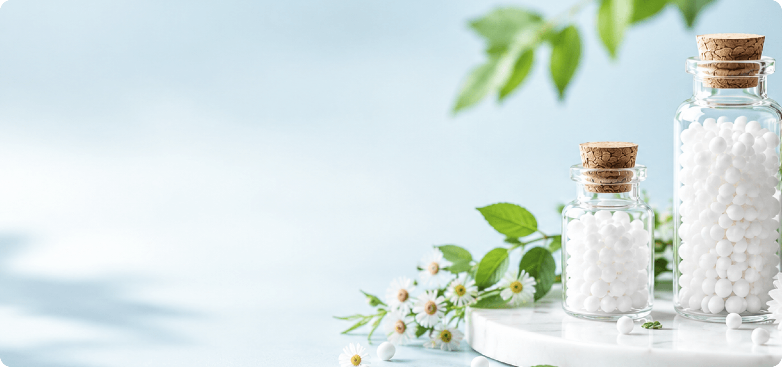 Pure. Natural. Trusted. Homeopathy.